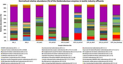 Textile Industry Wastewaters From Jetpur, Gujarat, India, Are Dominated by Shewanellaceae, Bacteroidaceae, and Pseudomonadaceae Harboring Genes Encoding Catalytic Enzymes for Textile Dye Degradation